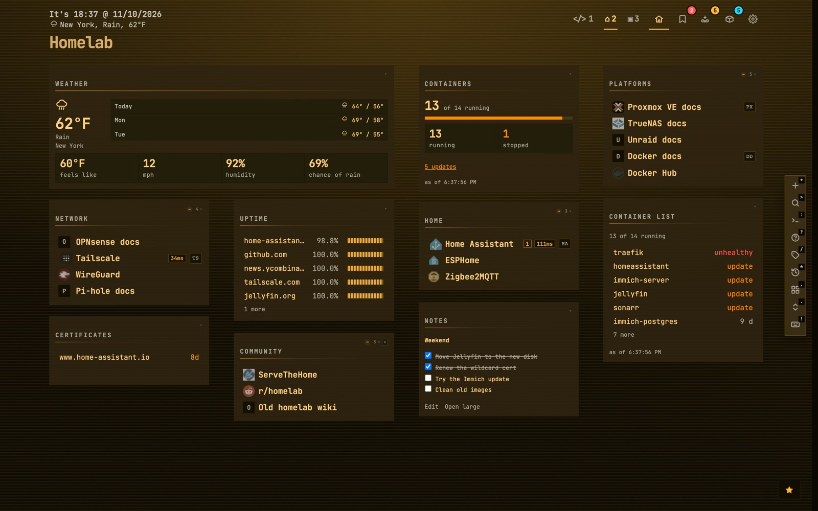 The same dashboard in the Terminal Amber theme with the Terminal look: flat dark panels and monospaced amber text.