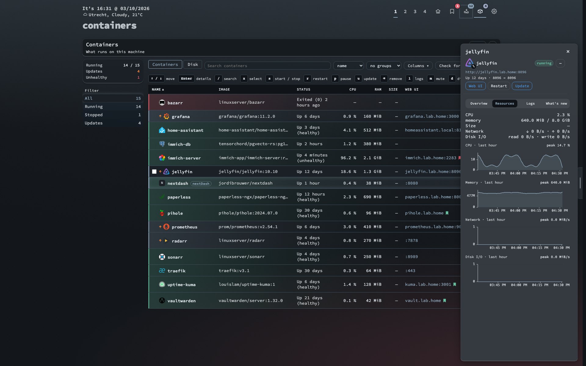 Containers list where every container has its app icon, with the uPlot Resources charts for jellyfin in the side panel